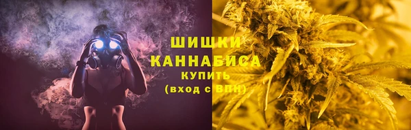 шишки Алзамай