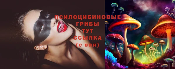 бутират Алексин