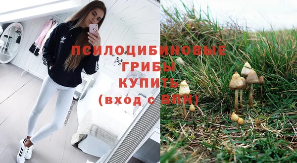mdma Зеленокумск