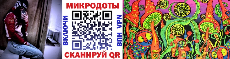 где купить наркоту  Неман  Галлюциногенные грибы Psilocybine cubensis 